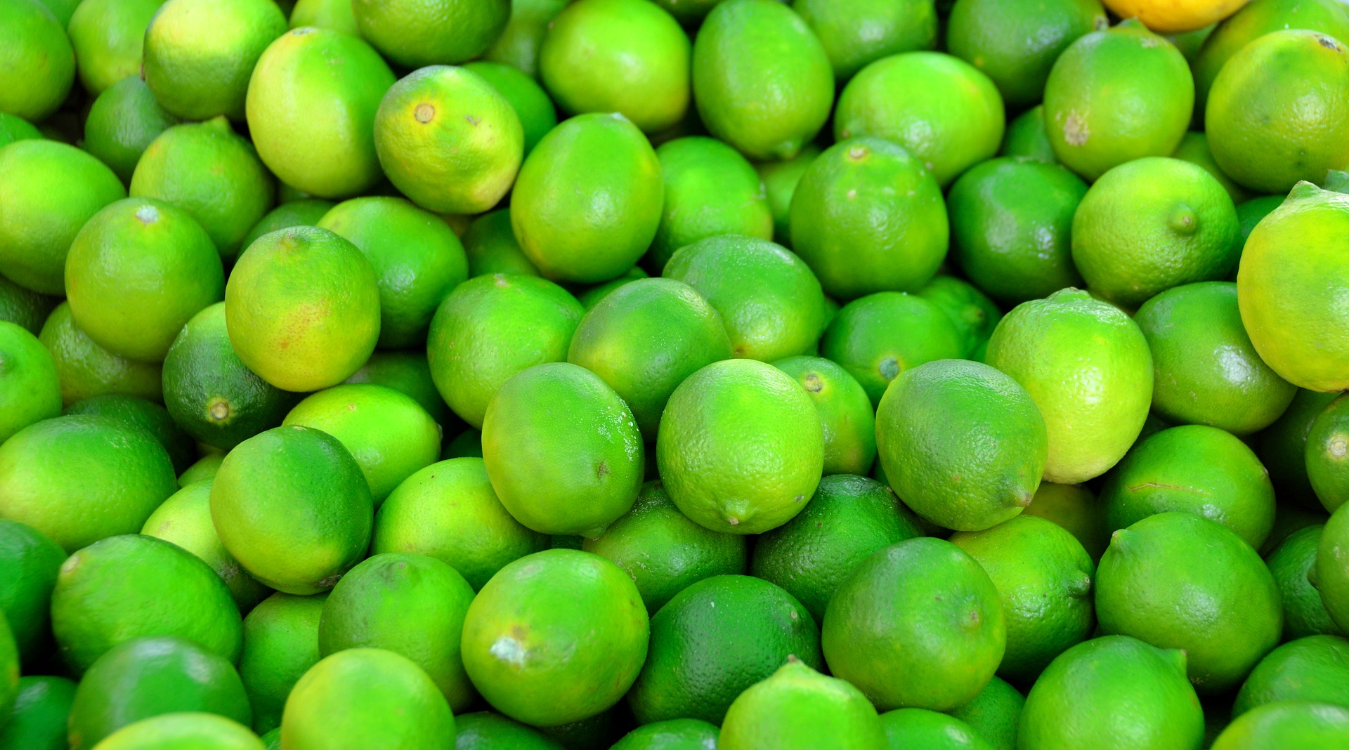 Lime photo 2