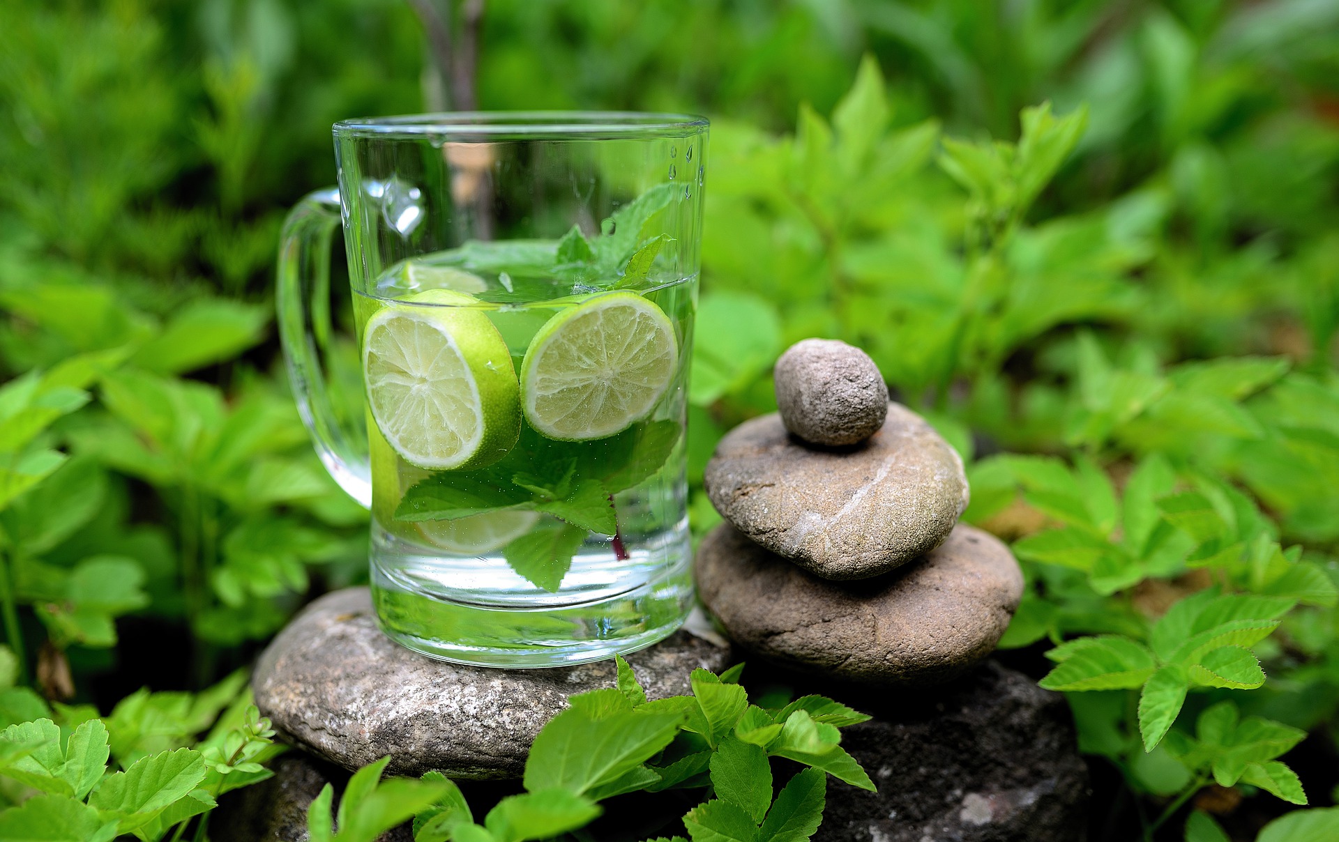 Lime photo 5