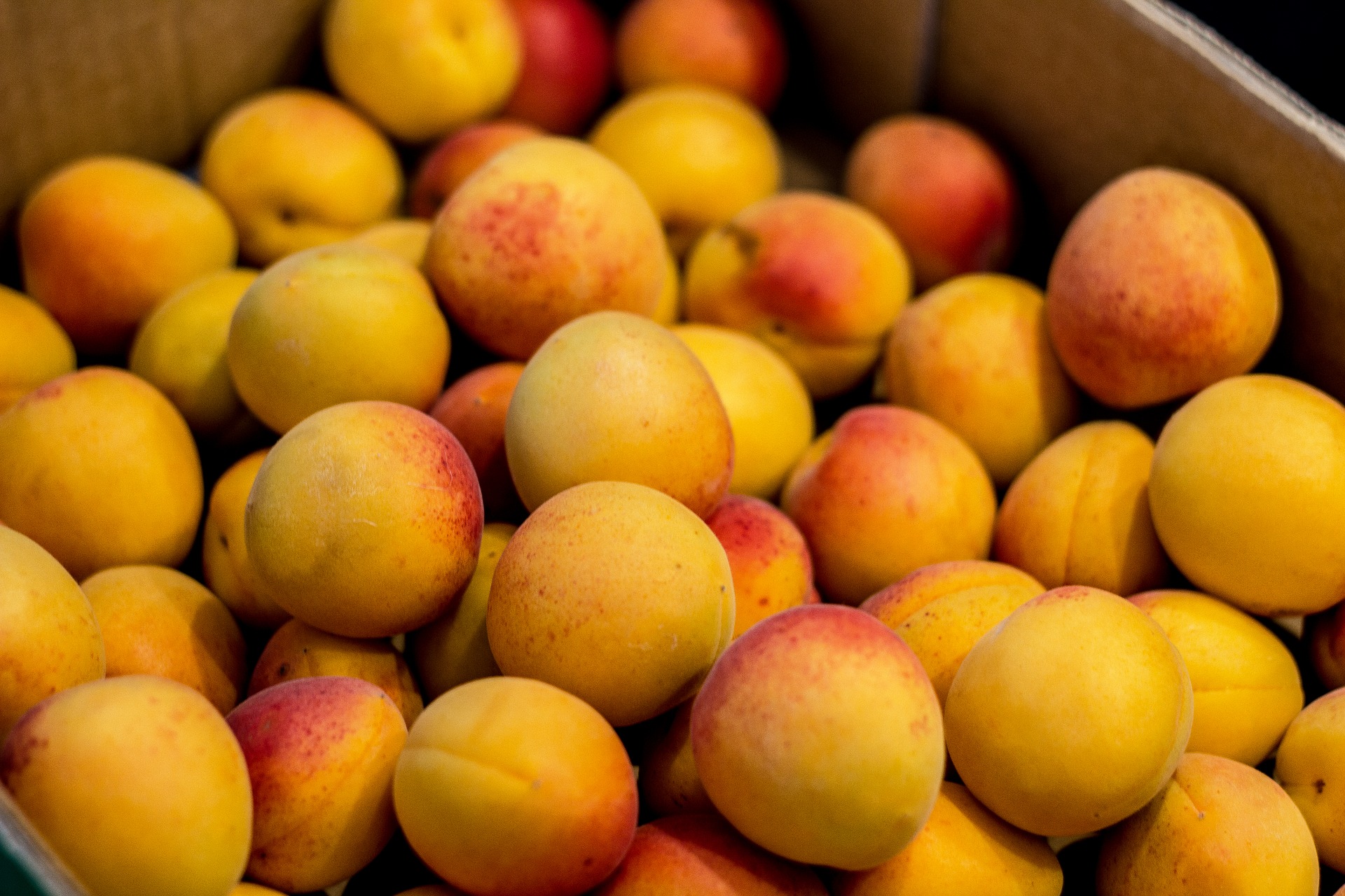 Peach photo 2