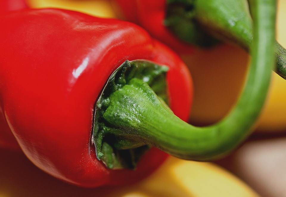 Peppers chilli photo 2