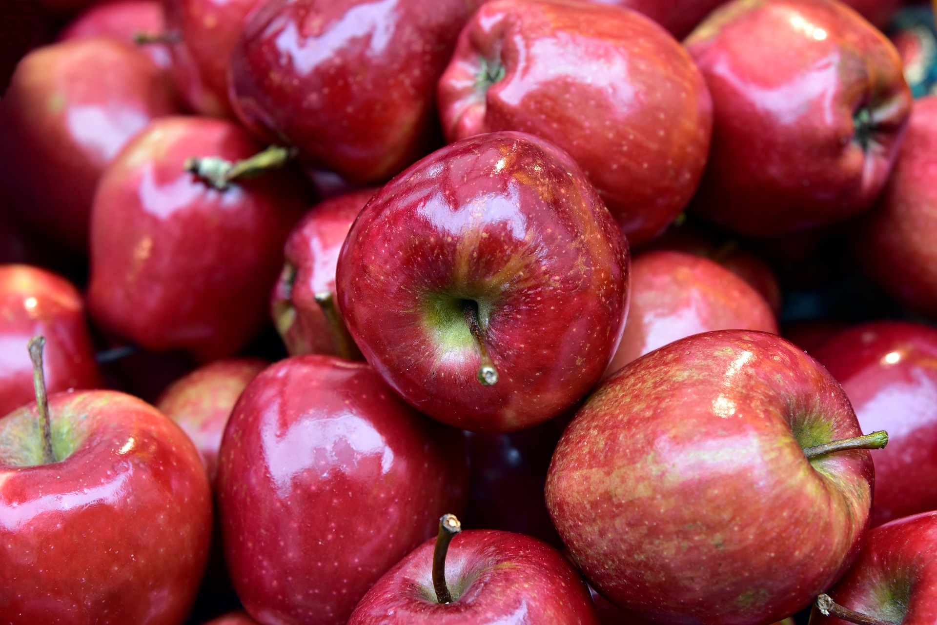 Red Apples photo 2
