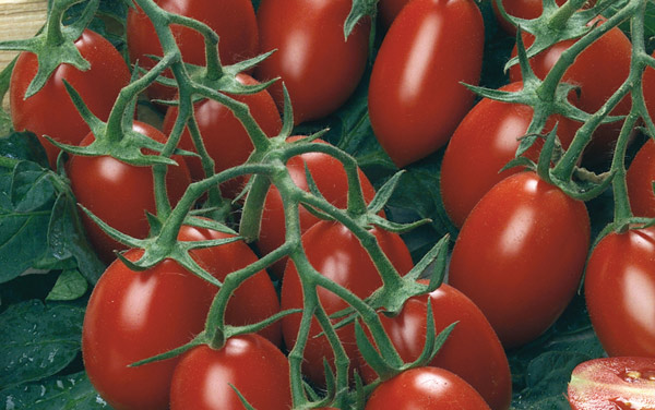 Tomatoes cocktail photo 2