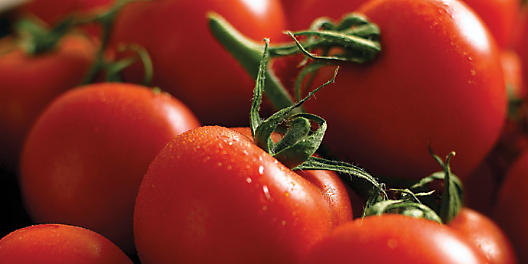 Tomatoes round photo 2