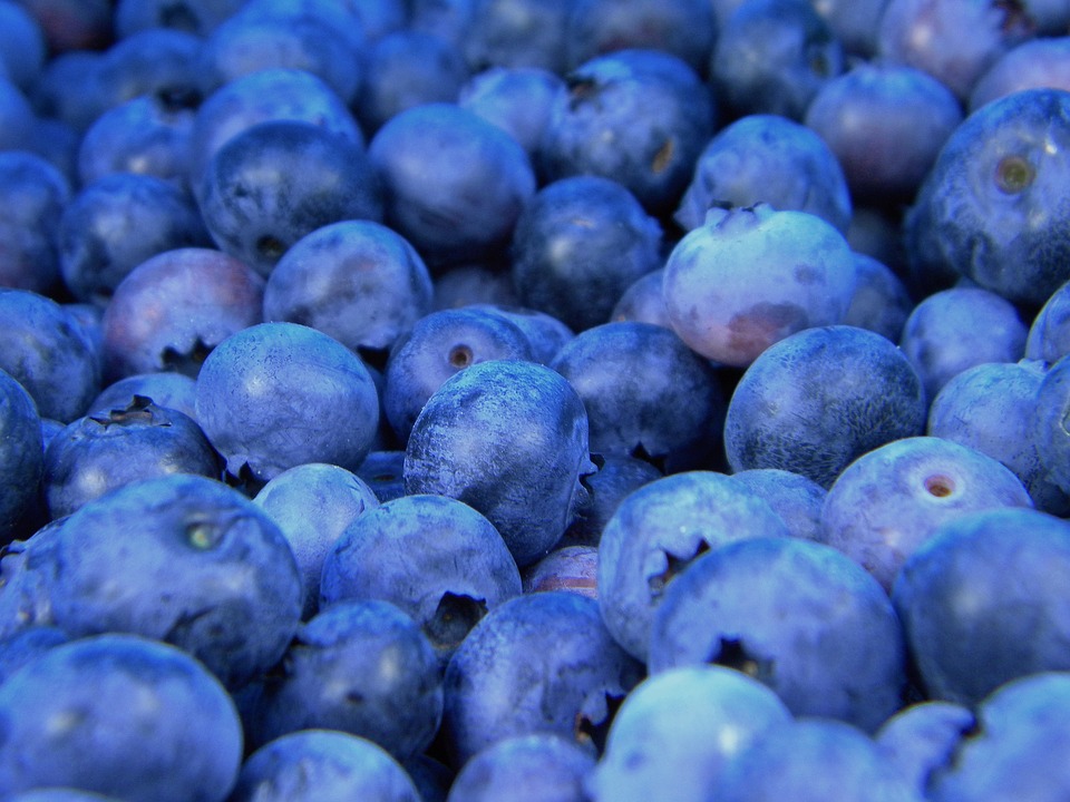 Blueberries photo 2
