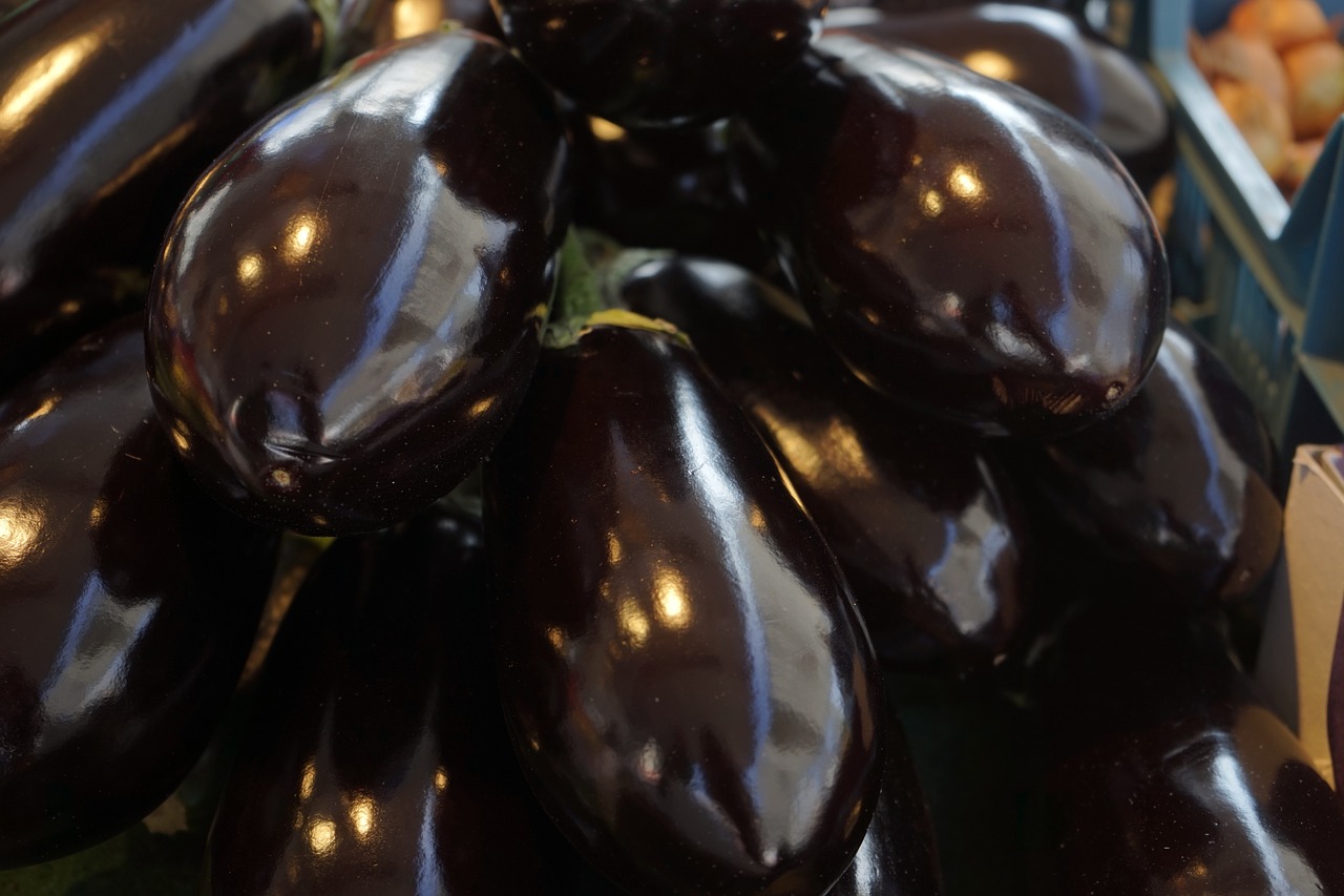 Eggplant photo 2