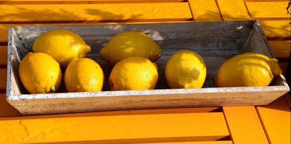 Lemons photo 2