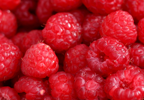 Raspberries photo 2