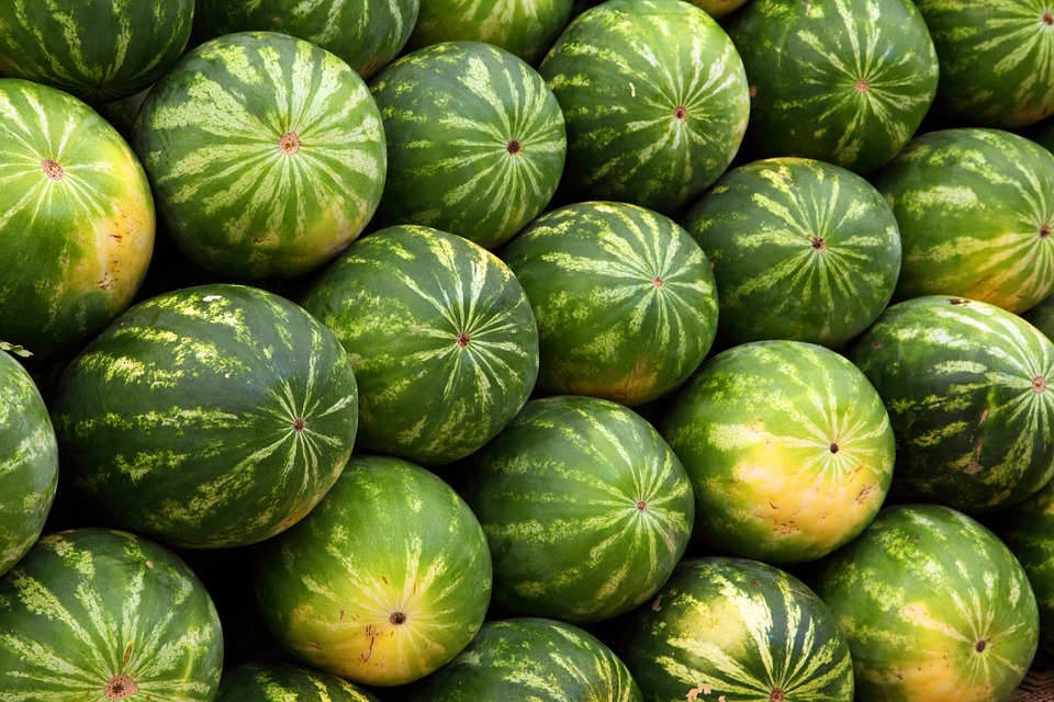 Watermelon photo 2