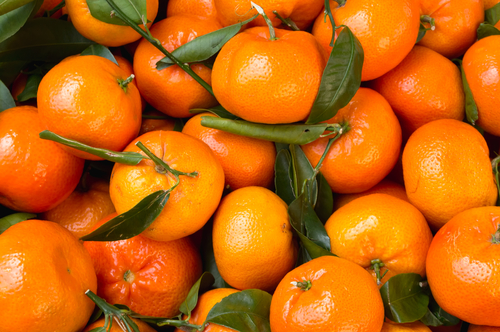 Mandarin orange photo 2