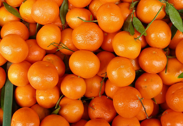 Clementines photo 2