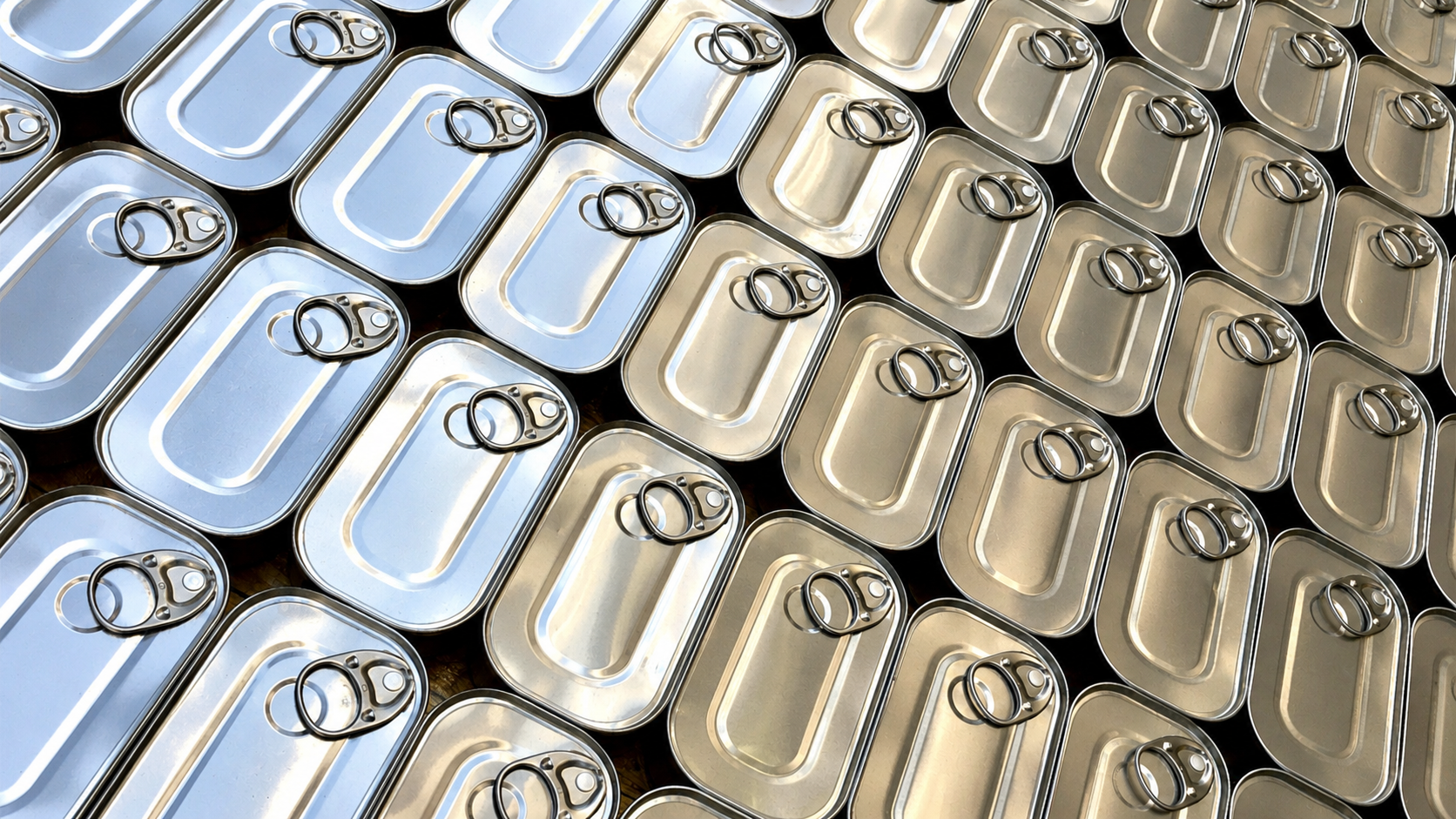 Canned fish