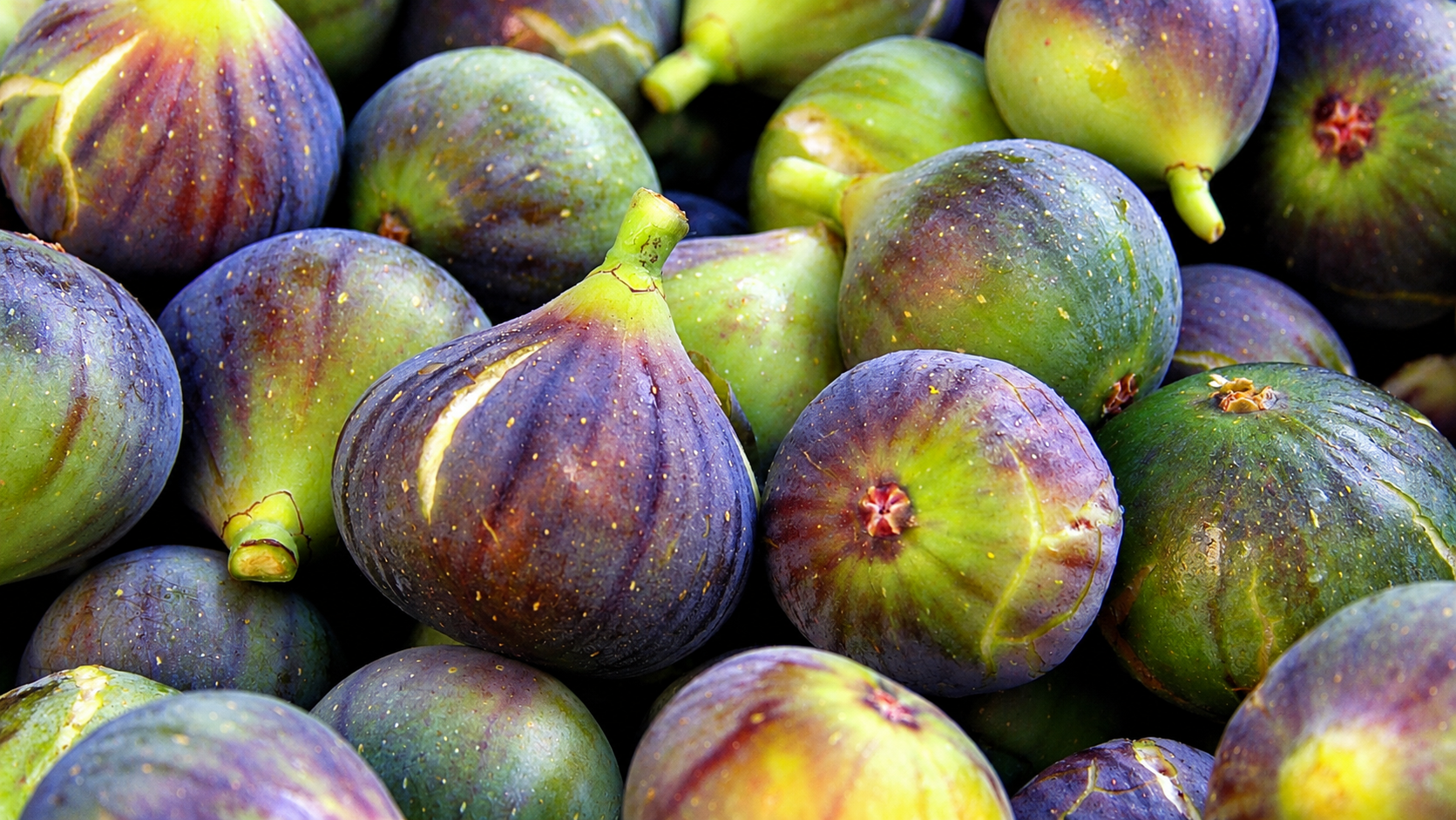Dried figs