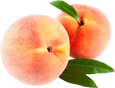 Stone Fruits from Morocco