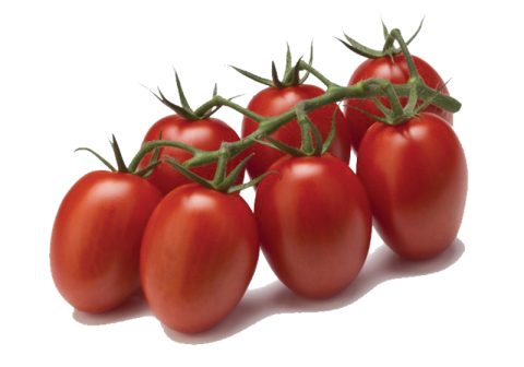 Tomatoes