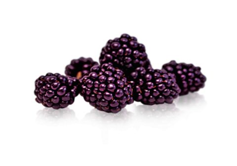 Boysenberries